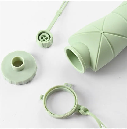 Collapsible Silicone Water Bottle for Gym, School & Travel